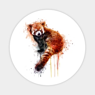 Red Panda Magnet